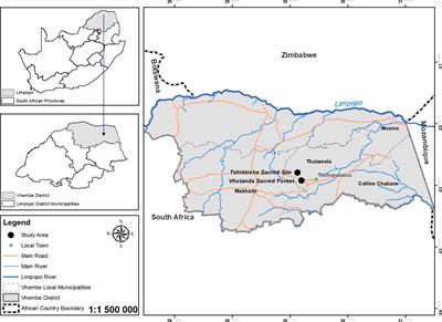 Traditional taboos: informal and invisible protection of remaining patches of forest in Vhembe District in Limpopo, South Africa